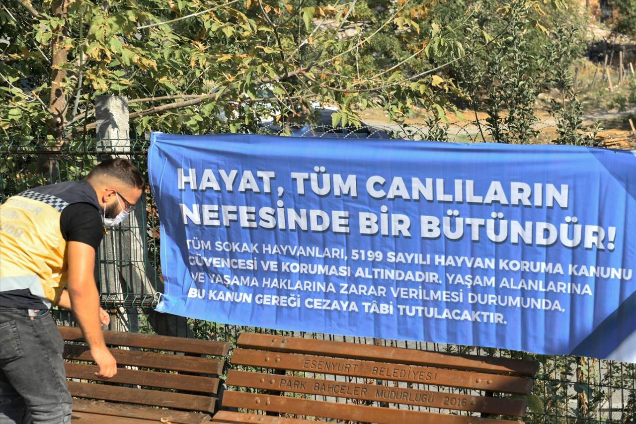 Esenyurt Belediyesi Hayvan Dostlarını Unutmadı