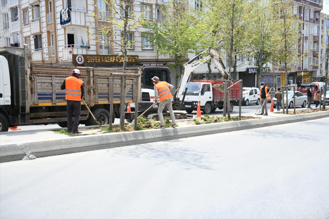 Esenyurt'ta Park ve Yeşil Alanlarda Yaz Hazırlığı Devam Ediyor