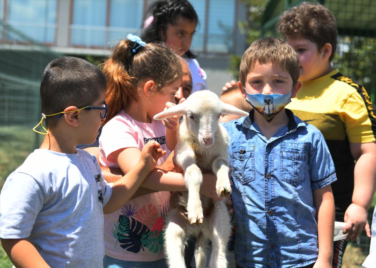 Özel Çocuklardan Hayvan Dostlarına Ziyaret