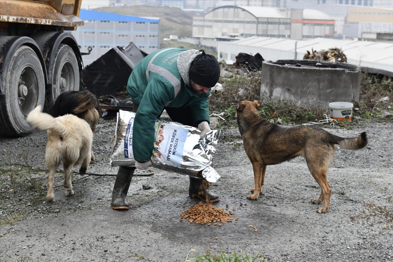 Can Dostlarımız Unutulmadı