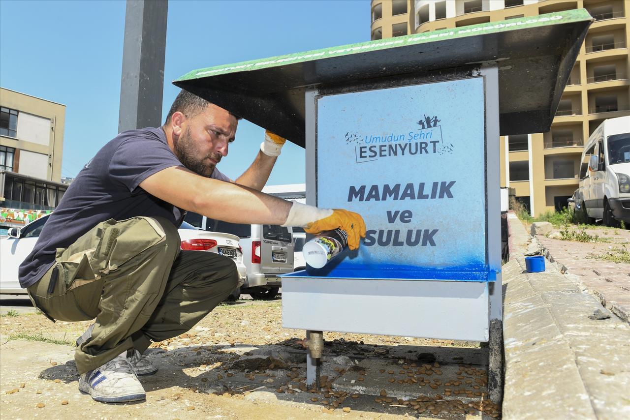 Mamalık Ve Suluklar Yenileniyor