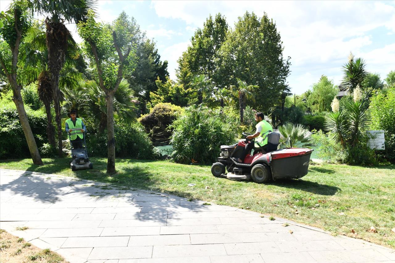 Esenyurt'ta Yeşil Dönüşüm: Belediye Parkları Yeniliyor