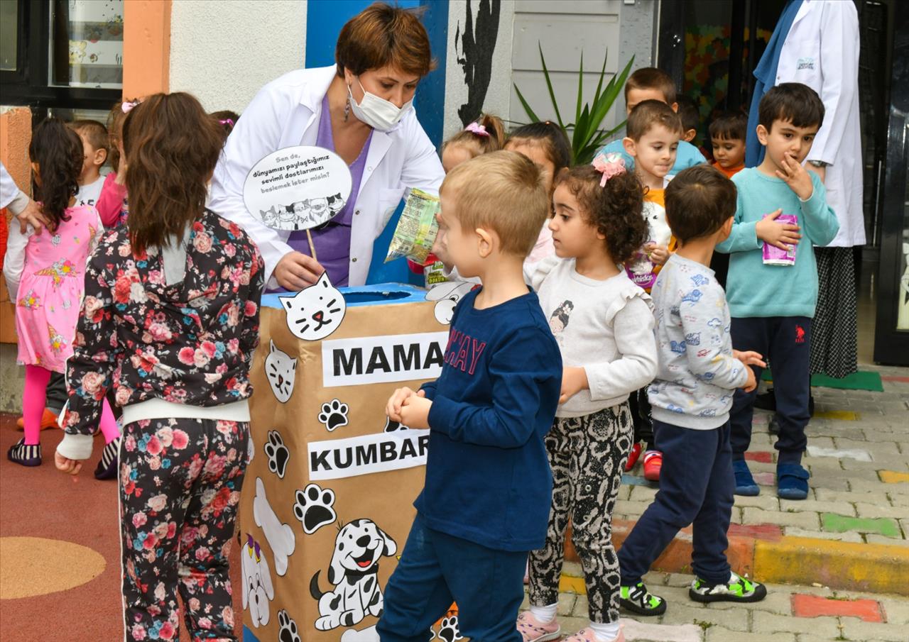 Harçlıkları İle Sokak Hayvanlarına Mama Aldılar!