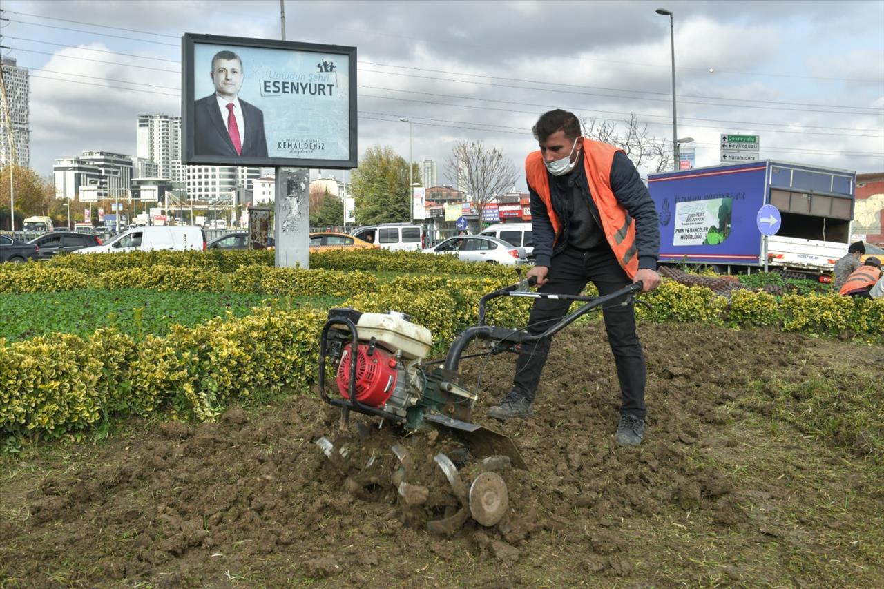 Esenyurt’ta Ağaçlandırma Çalışmaları Devam Ediyor