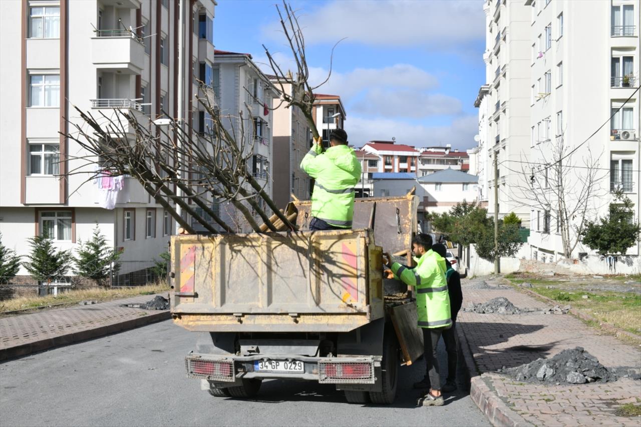 Esenyurt’ta Sorunlar Yeşillendirmeyle Çözülüyor