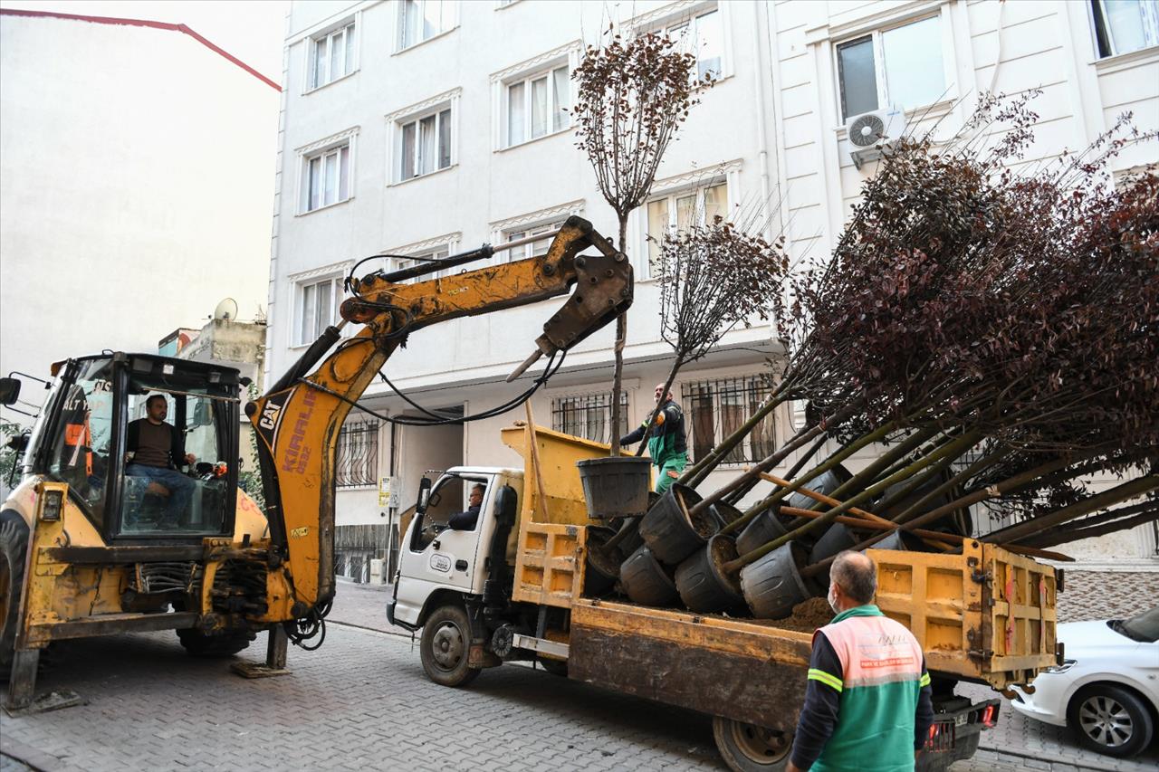 Esenyurt’ta Yeşillendirme Çalışmaları Devam Ediyor