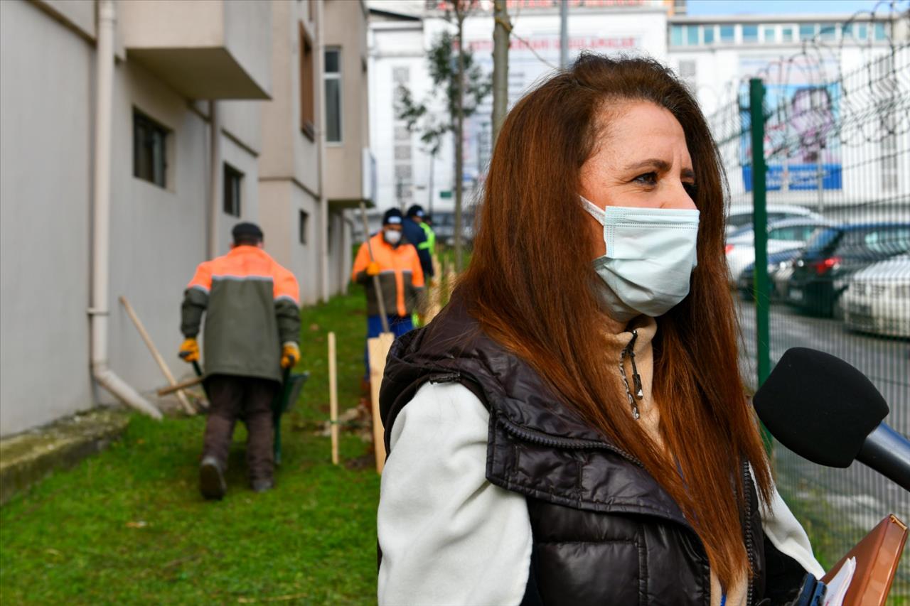 Esenyurt’ta Kesilmek Zorunda Kalan Ağaçların Yerine Yenileri Dikildi 