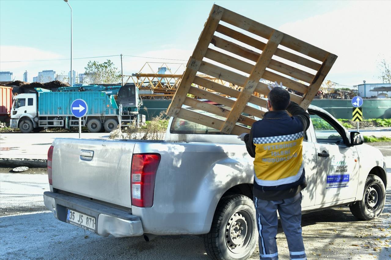 Geri Dönüşümden Sokak Hayvanlarına Yuva