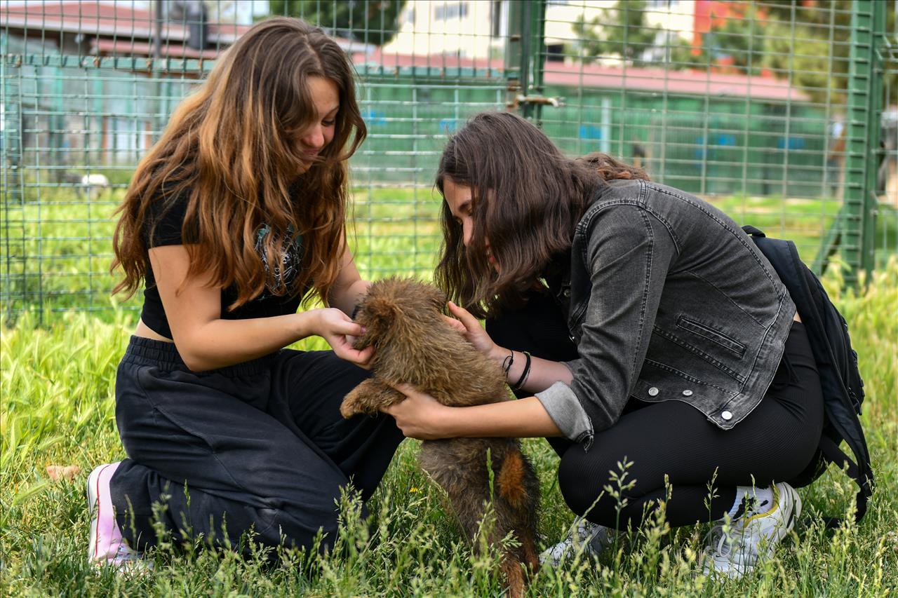 Liseli Gençler, Can Dostlarımızla Bir Araya Geldi