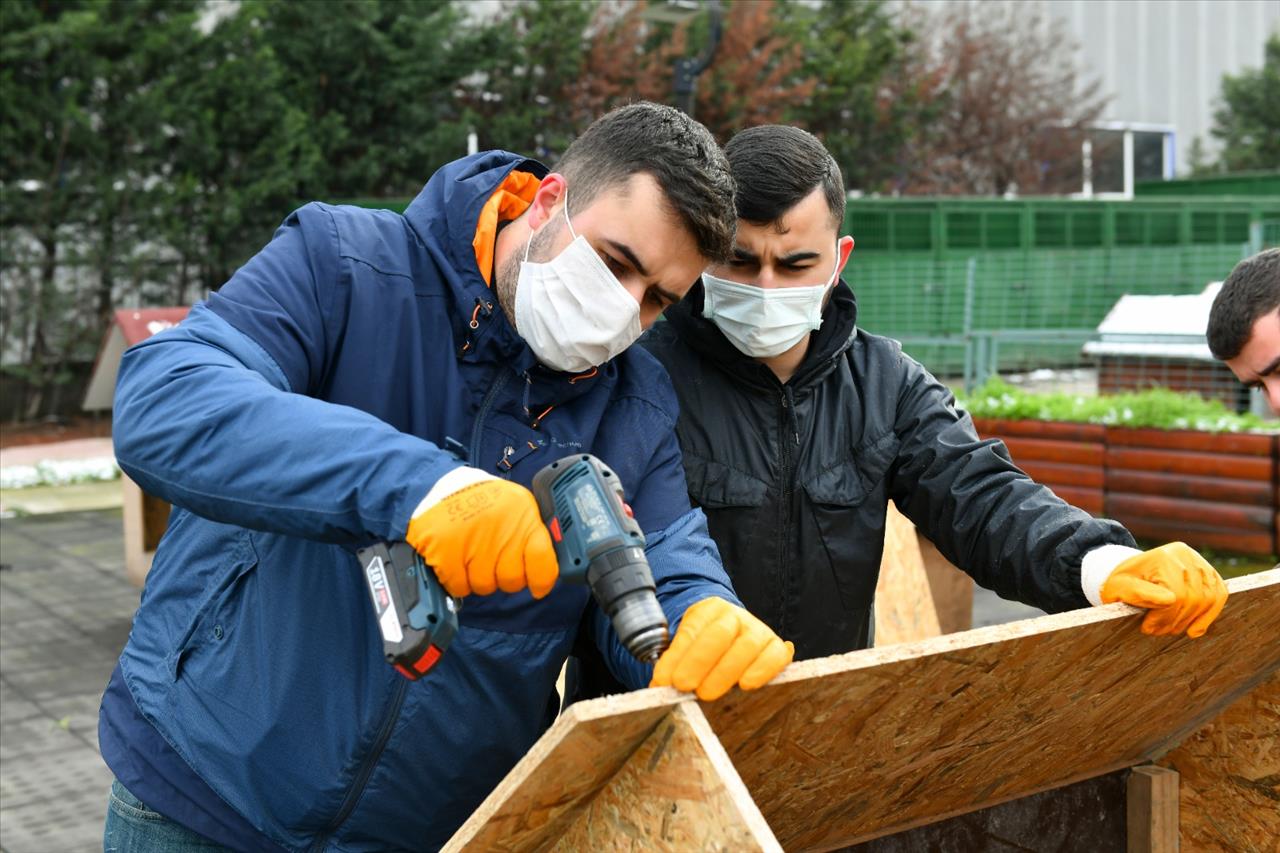 Geri Dönüşümden Sokak Hayvanlarına Yuva