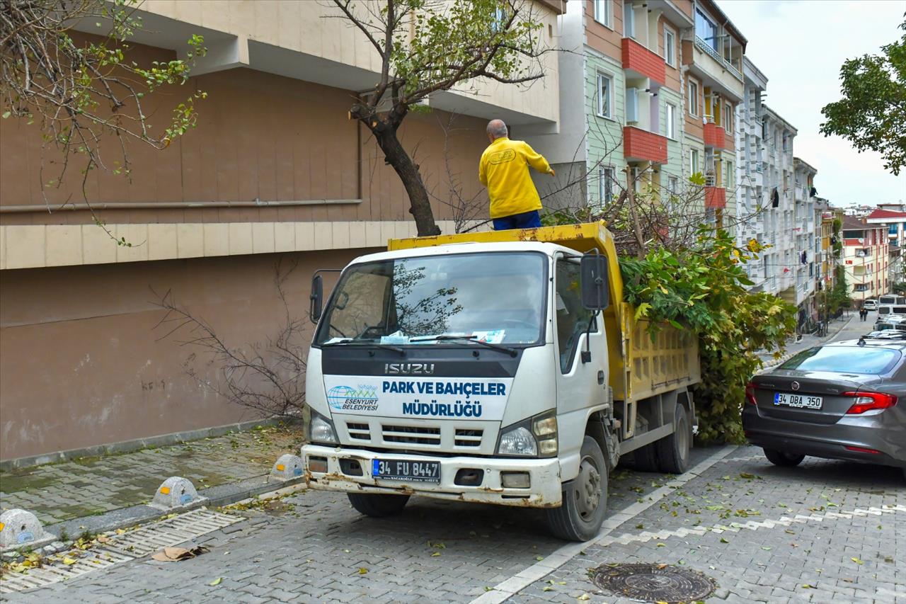 Esenyurt Belediyesi Daha Yeşil Bir Esenyurt İçin Çalışıyor