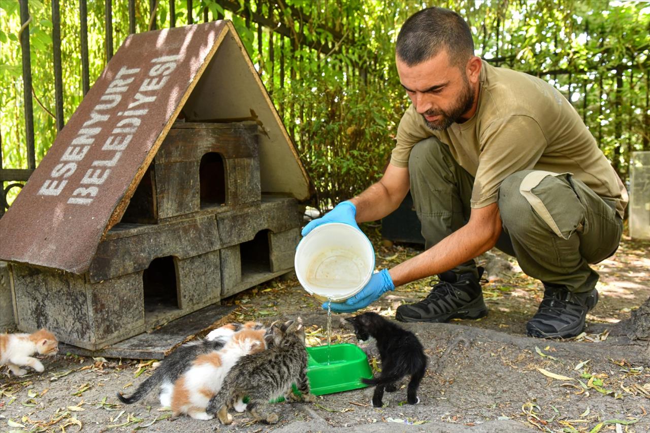 Can Dostlarımız İçin Seferber Oldular