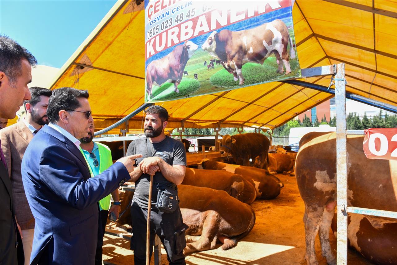 Başkan Özer: Artık Kurbanlarımız Güvenli Ortamlarda Satılacak