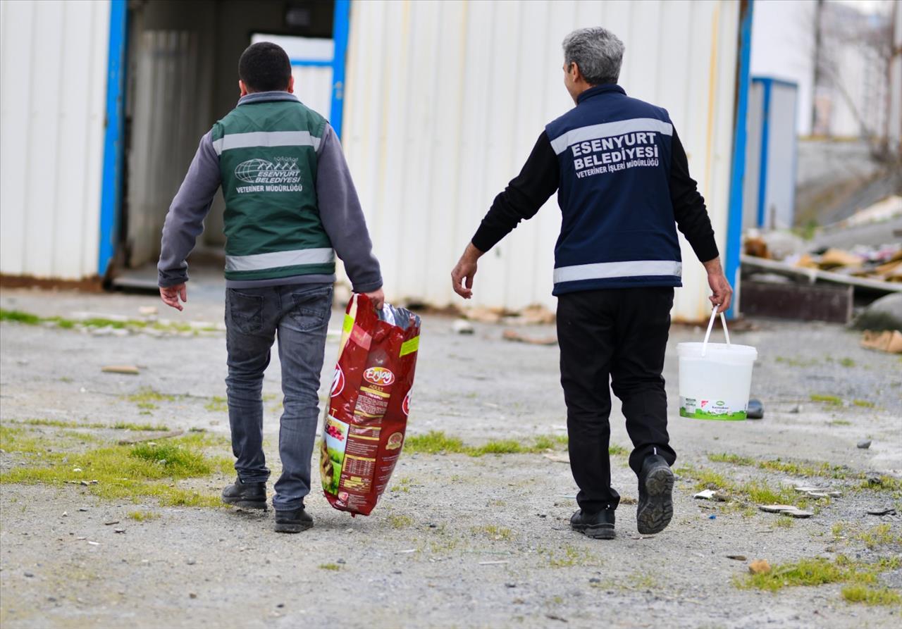 Esenyurt Can Dostlarımızı Unutmuyor