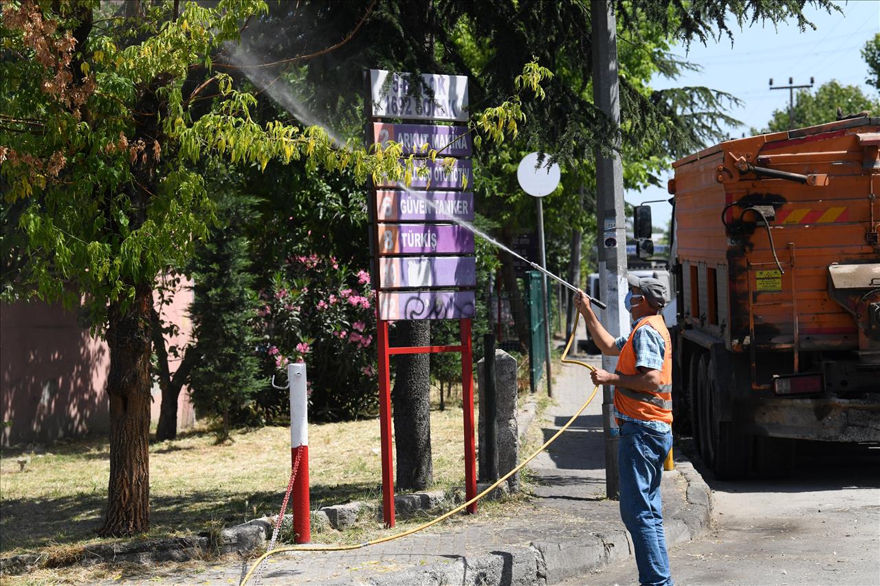 Esenyurt Belediyesi Teke Böceğine Karşı Çalışmalarını Sürdürüyor