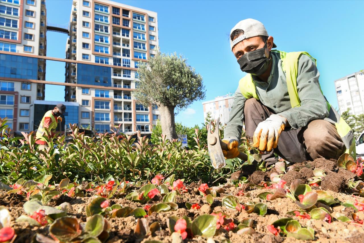 Esenyurt’ta Yeşillendirme Çalışmaları Devam Ediyor