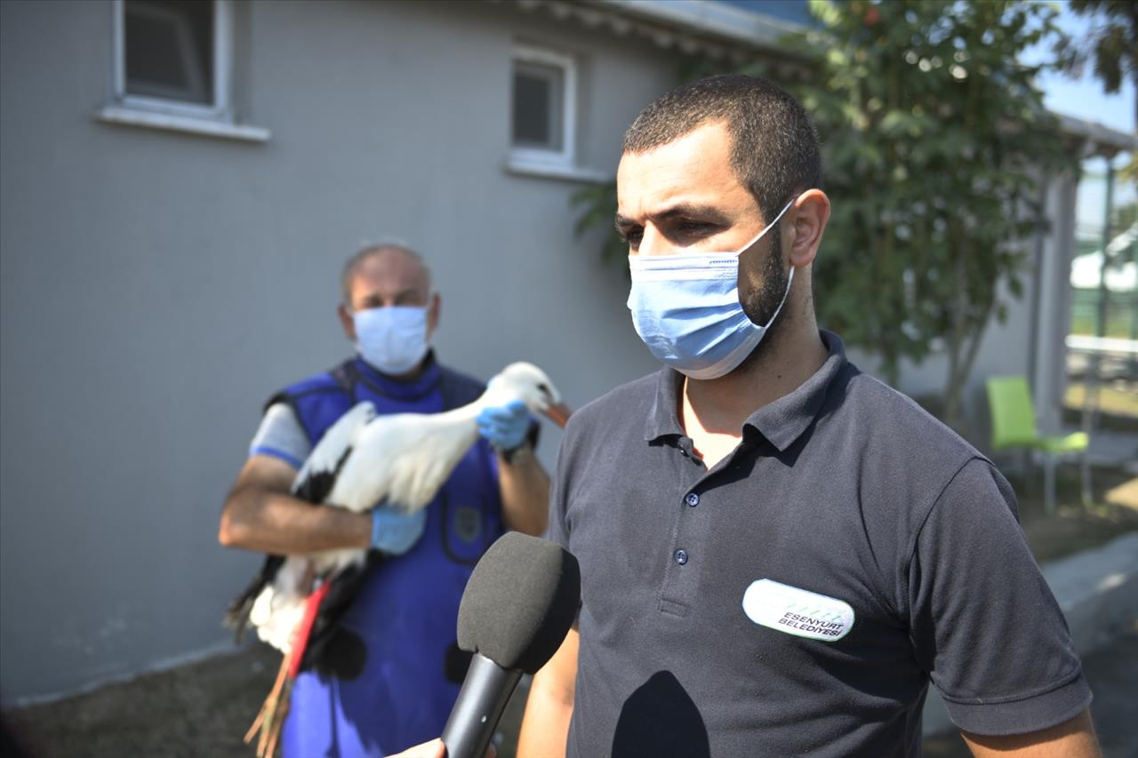 Yaralı Leyleğe Esenyurt Belediyesi Sahip Çıktı