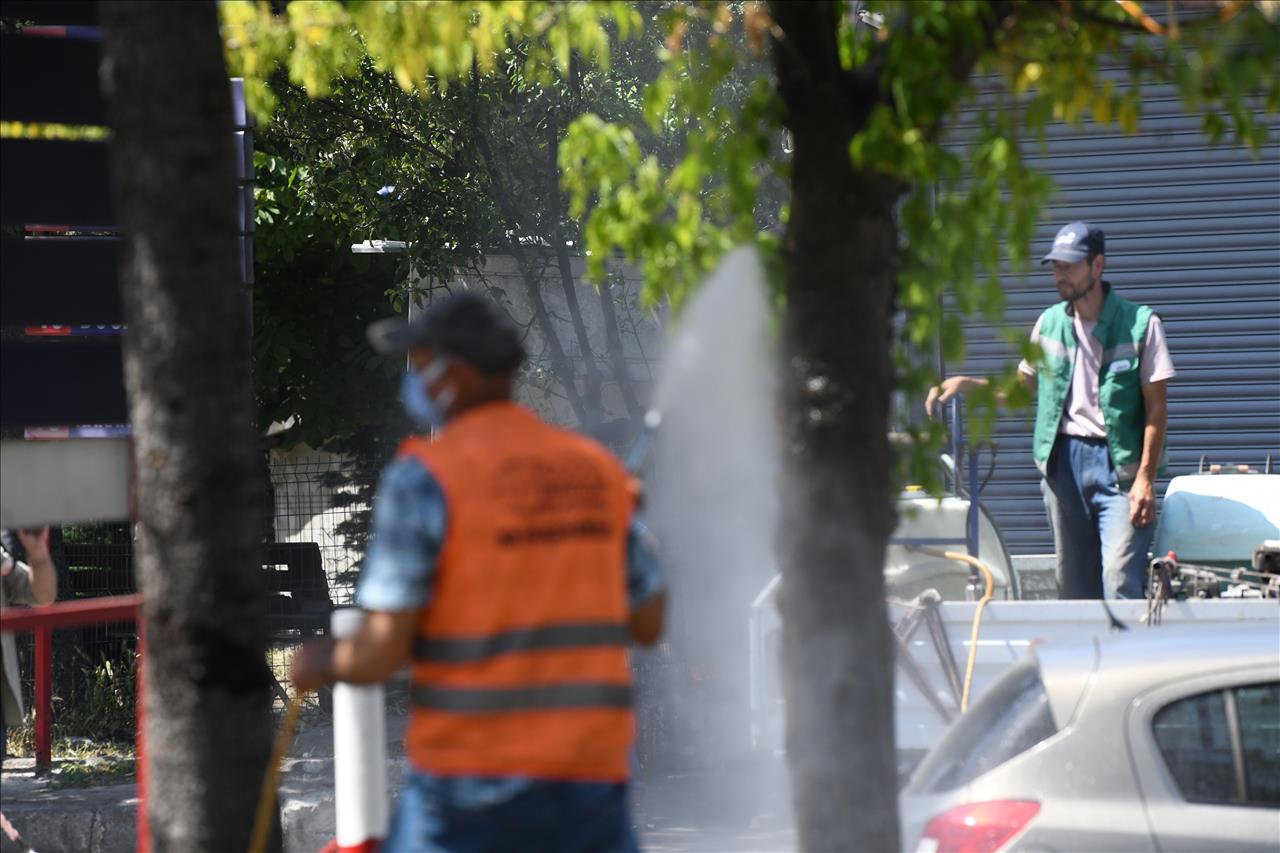 Esenyurt Belediyesi Teke Böceğine Karşı Çalışmalarını Sürdürüyor