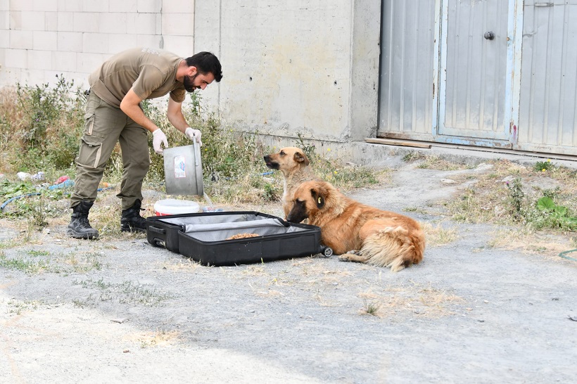 Esenyurt Belediyesi Can Dostlarımızı Yalnız Bırakmıyor