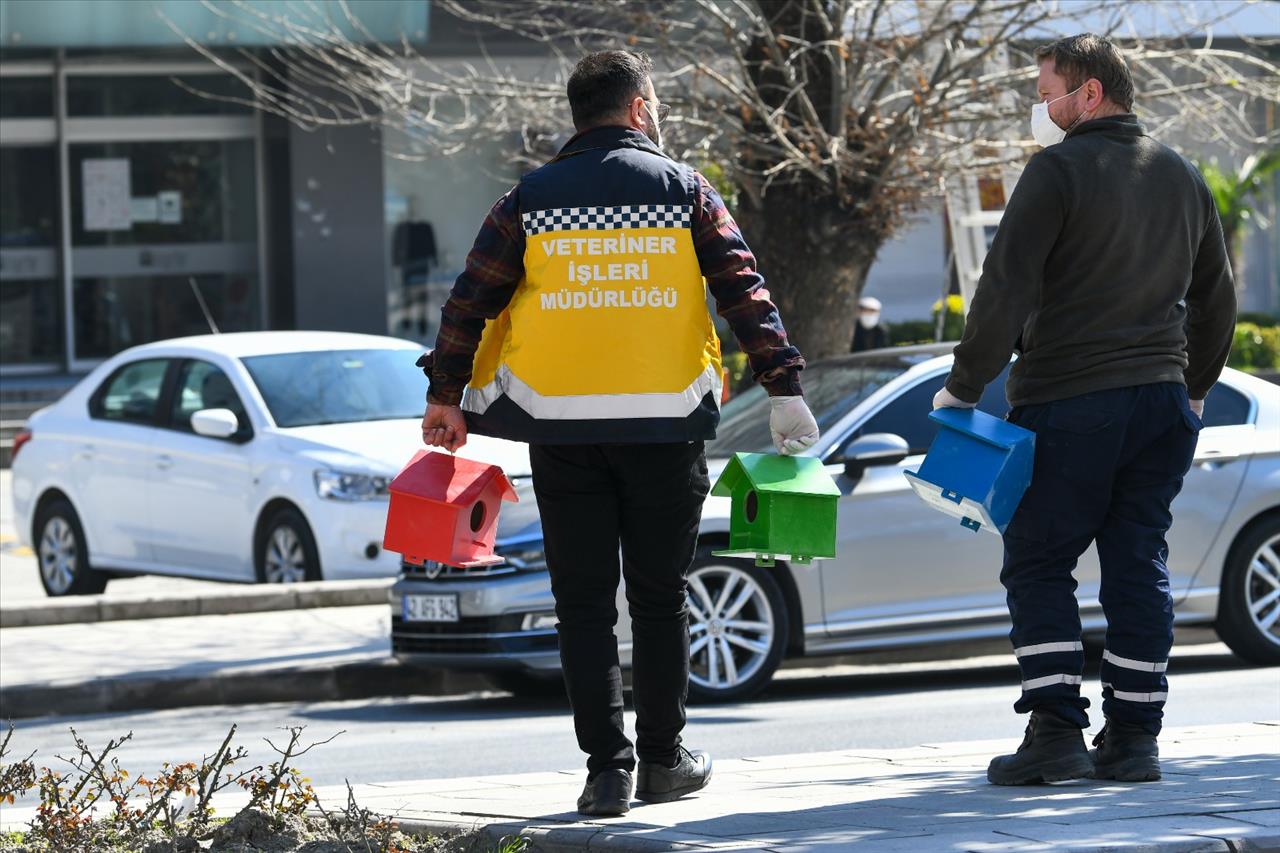 Esenyurt Belediyesi’nden Kanatlı Dostlarımıza Rengarenk Yuvalar