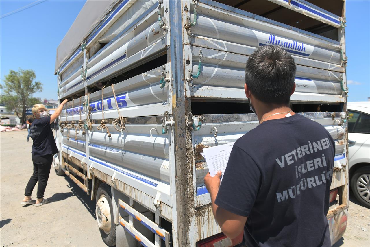 Esenyurt Belediyesi’nden Kurban Hazırlıklarını Tamamladı