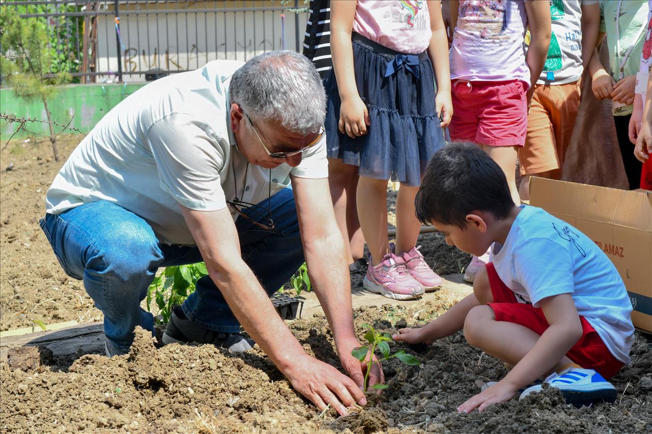 Esenyurtlu Minikler Fide Dikti