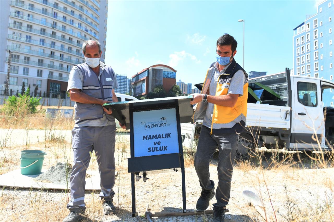 Esenyurt Belediyesi’nden Sokak Hayvanlarına Mamalık Ve Suluk