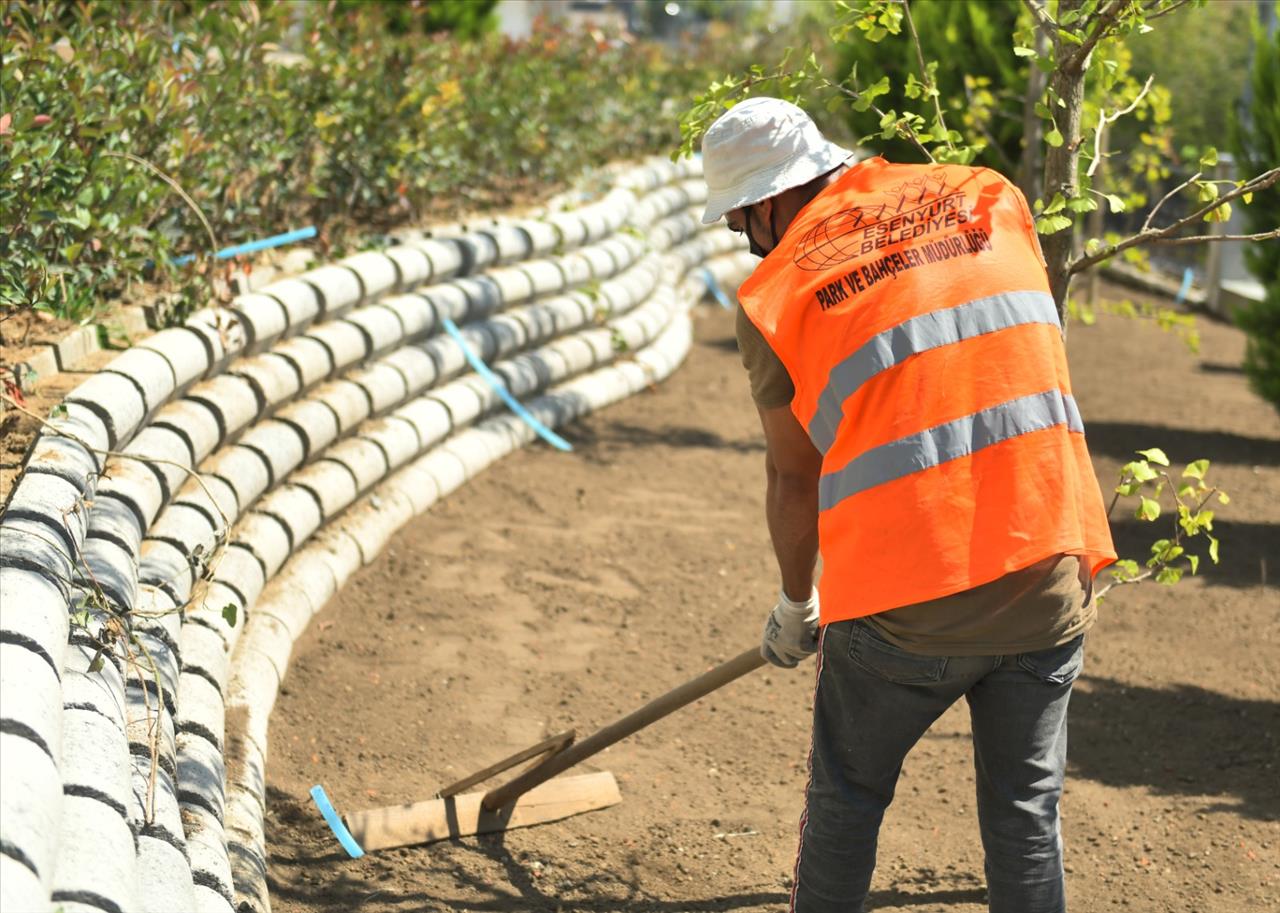 Park Ve Yeşil Alanlarda Bakım Çalışmaları Sürüyor 