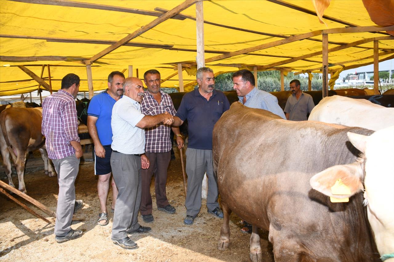 Esenyurt Belediyesi’nden Kurbanlıklara Sıkı Kontrol