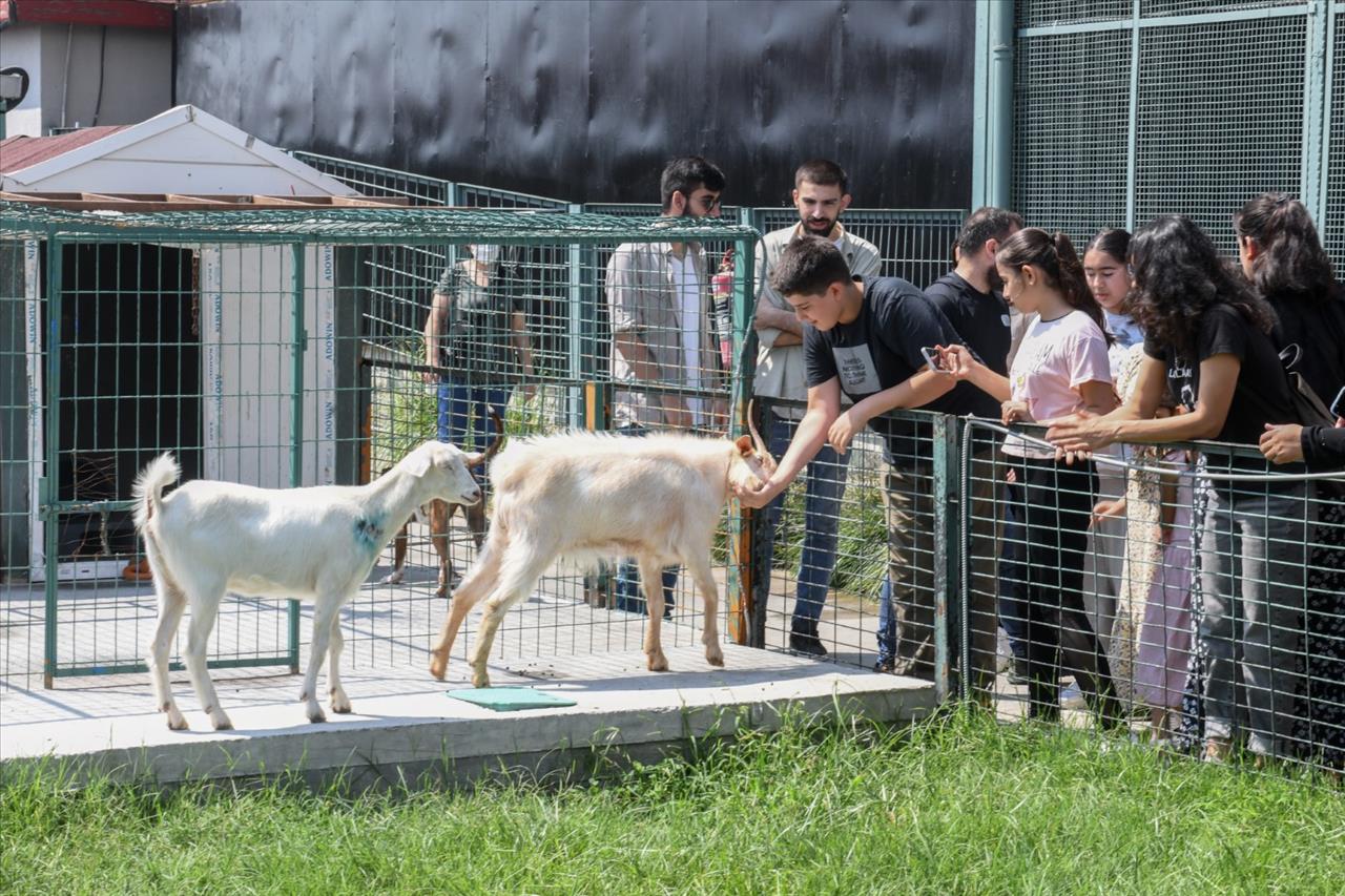 Esenyurt Belediyesi Özel Çocuklarımızı Can Dostlarımızla Buluşturdu