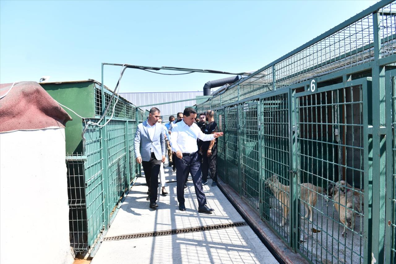 Başkan Özer’den Hayvan Hakları Yasasına İlişkin Önemli Açıklama 