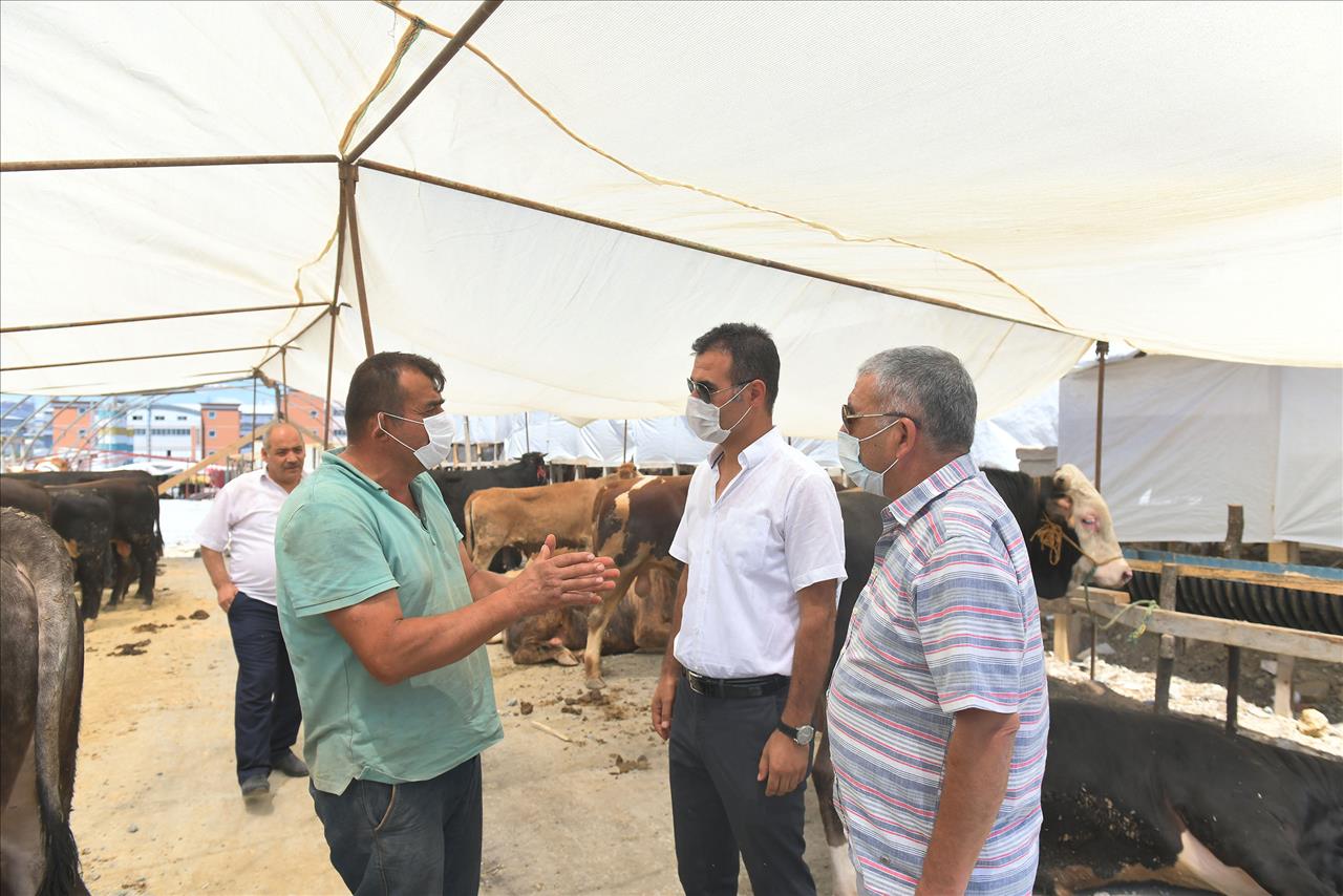 Esenyurt Belediyesi’nden Kurban Hazırlıklarını Tamamladı