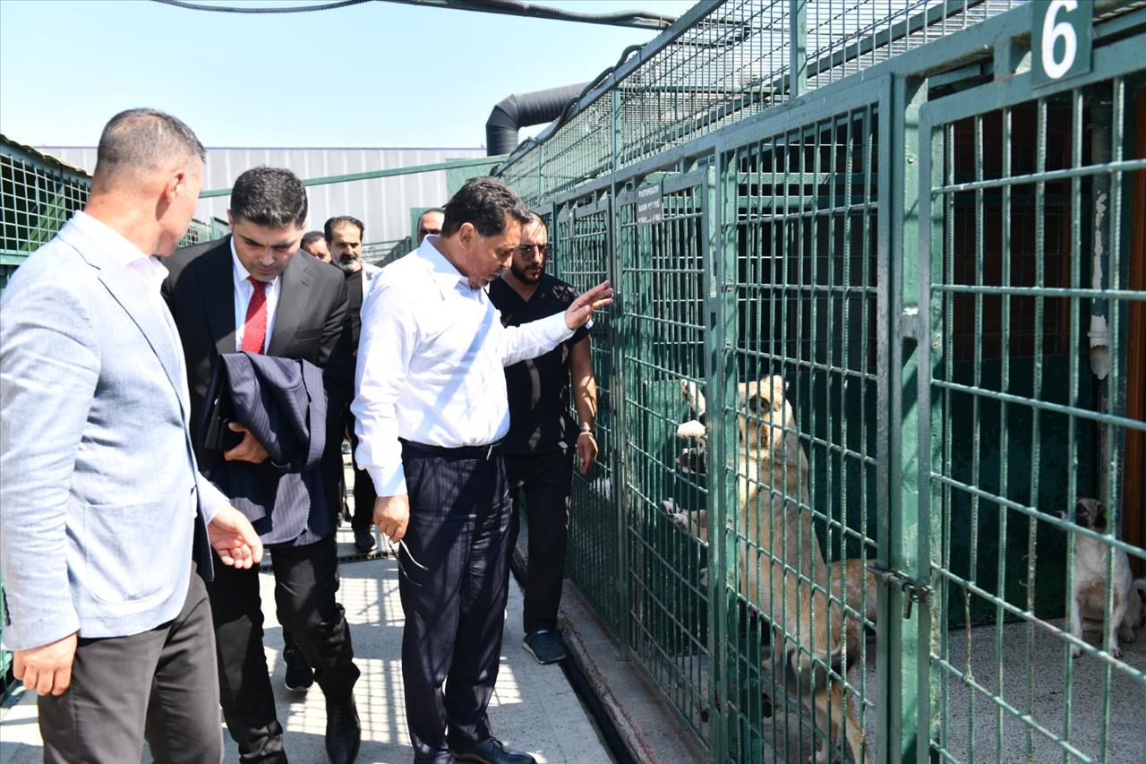 Başkan Özer’den Hayvan Hakları Yasasına İlişkin Önemli Açıklama 