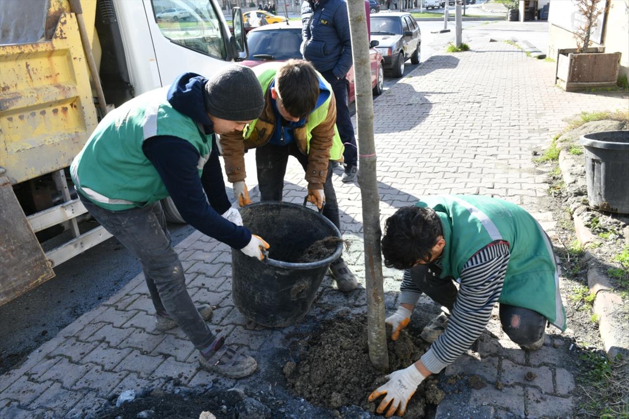 Esenyurt’ta Sorunlar Yeşillendirmeyle Çözülüyor