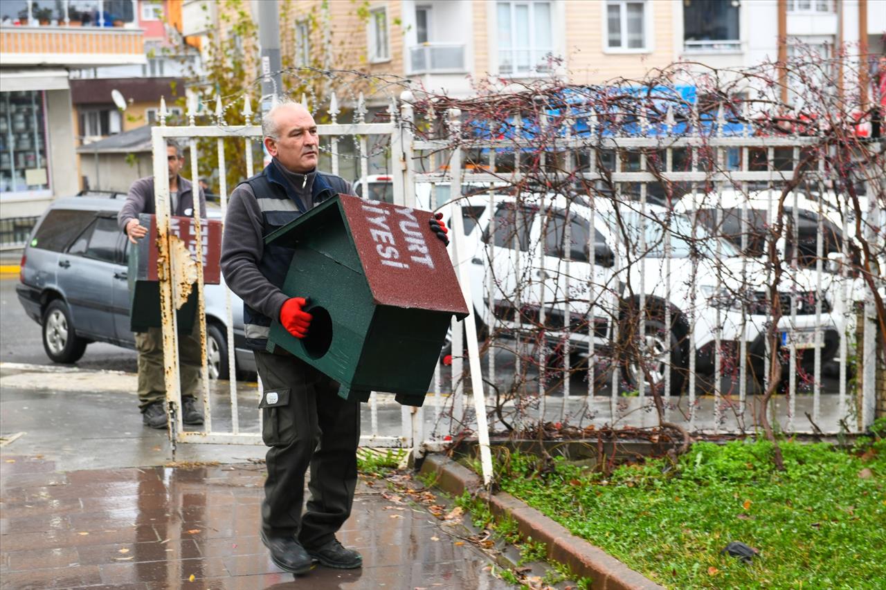 Kolon Arasında Mahsur Kalan Yavru Kedileri Belediye Ekipleri Kurtardı