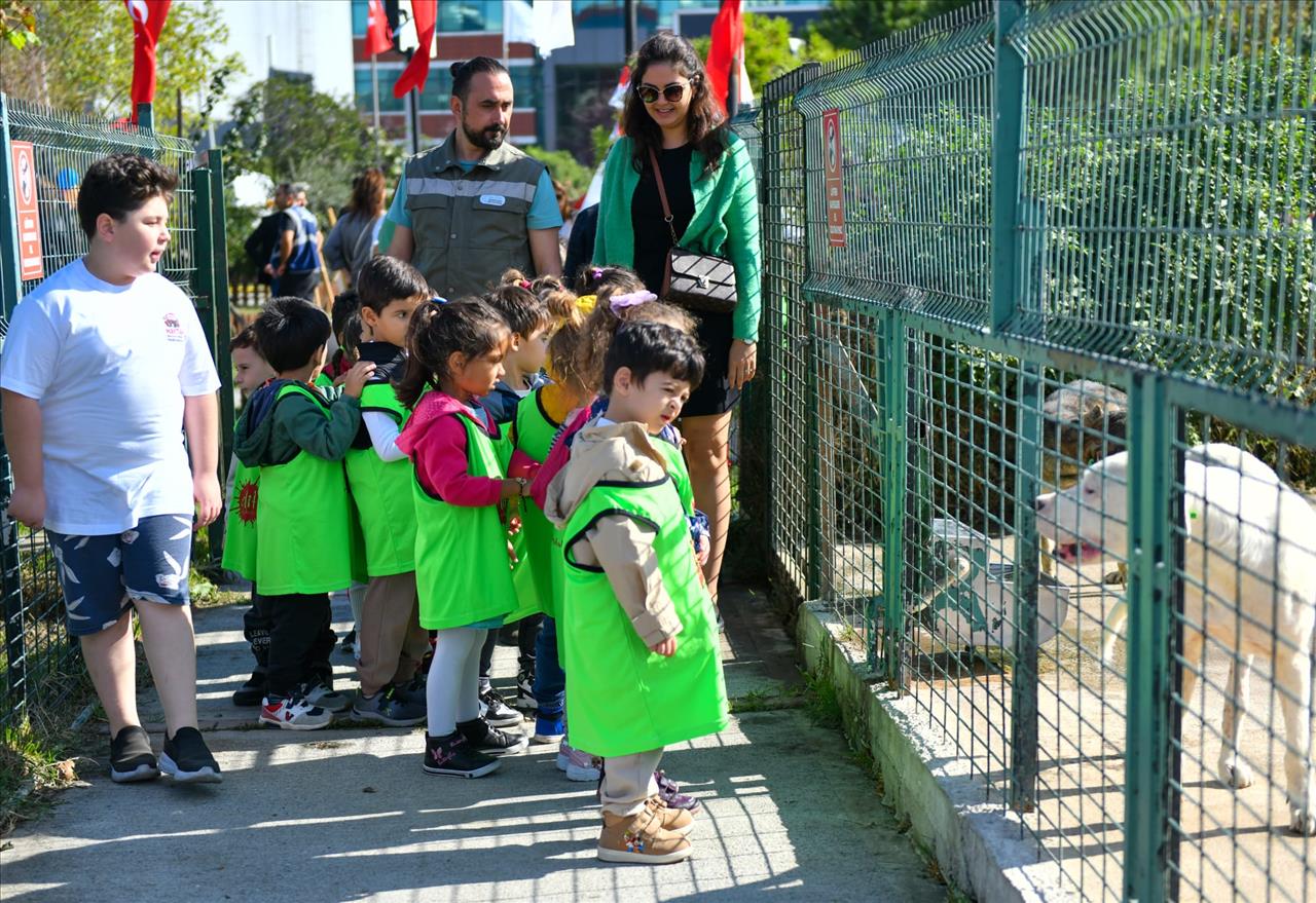 Esenyurtlu Çocuklara Hayvanseverlik Bilinci