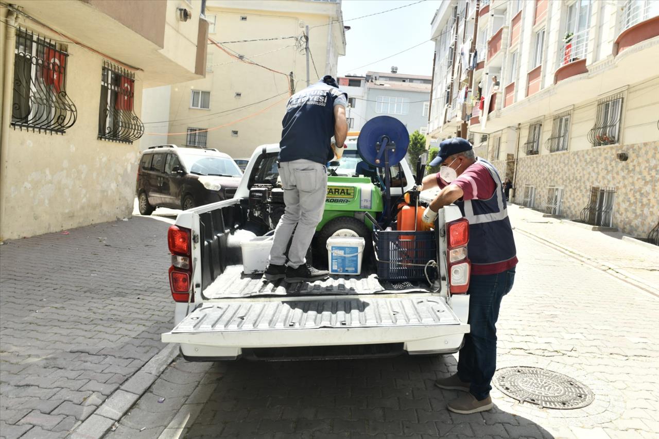 Esenyurt Belediyesinden Haşere ve Böceklerle Etkin Mücadele