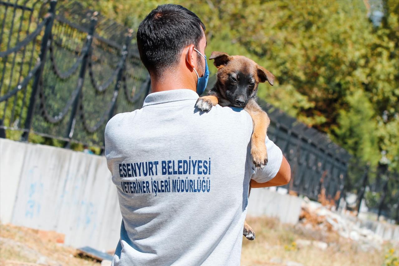 Esenyurt Belediyesi Hayvan Dostlarını Unutmadı