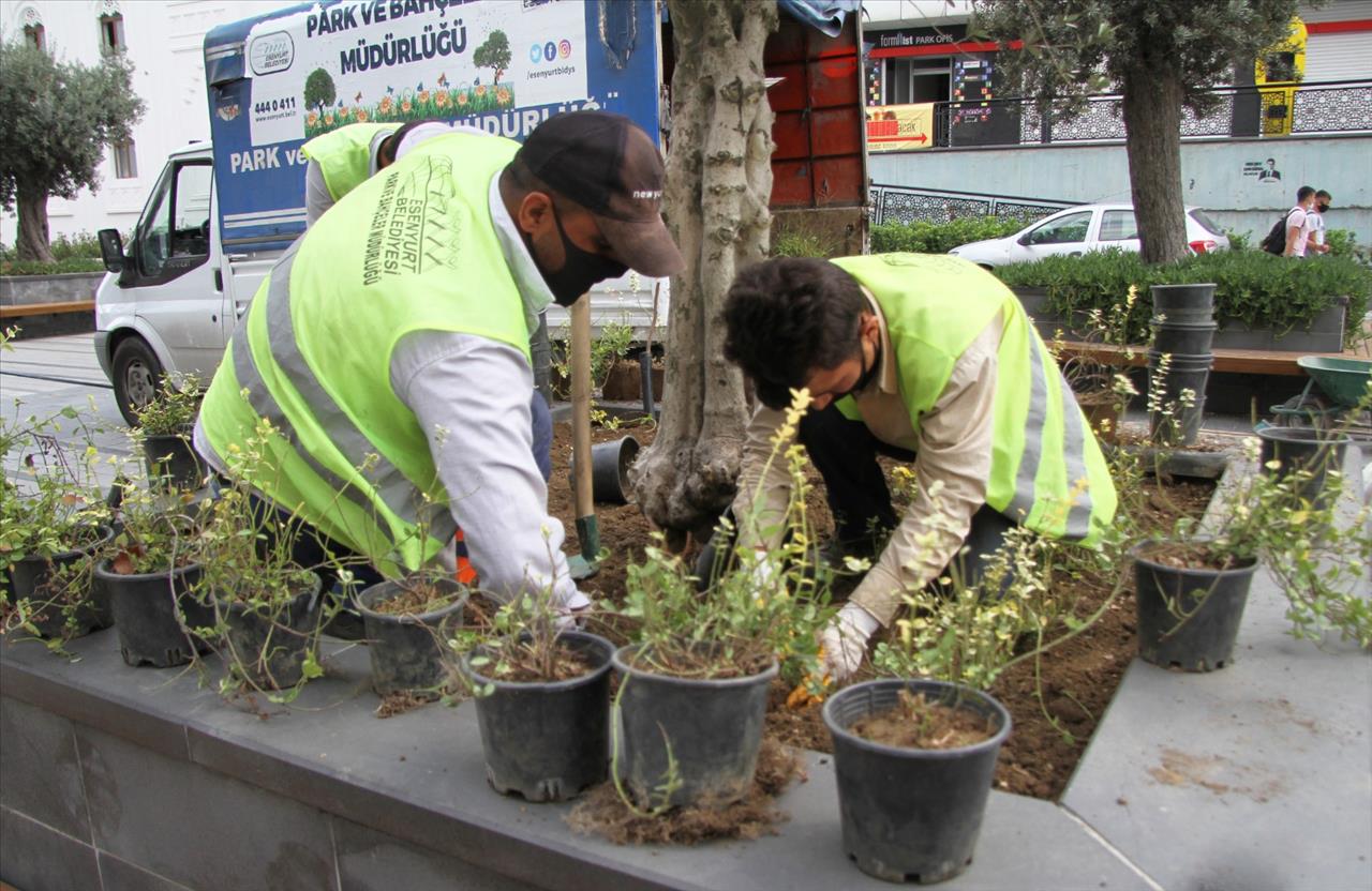 Meydan Ve Parklarda Bakım Çalışmaları Devam Ediyor