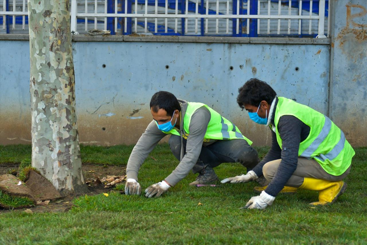 Esenyurt Belediyesi Daha Yeşil Bir Esenyurt İçin Çalışıyor