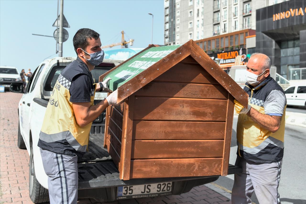 Esenyurt Belediyesi Hayvan Dostlarını Unutmadı