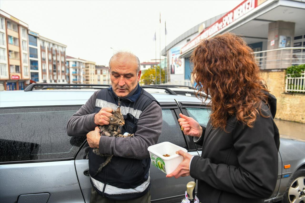 Kolon Arasında Mahsur Kalan Yavru Kedileri Belediye Ekipleri Kurtardı