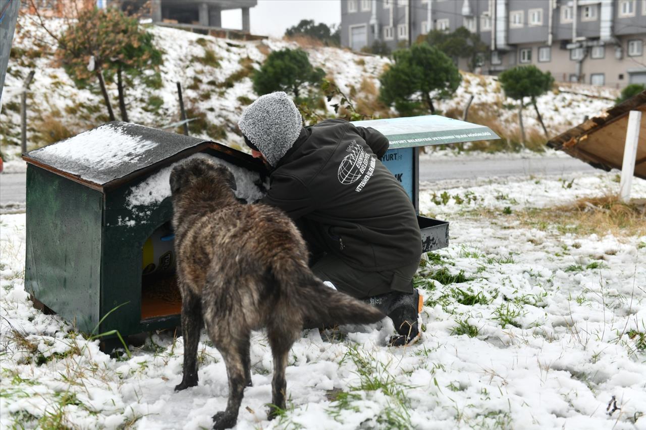 Can Dostlarımız Unutulmadı