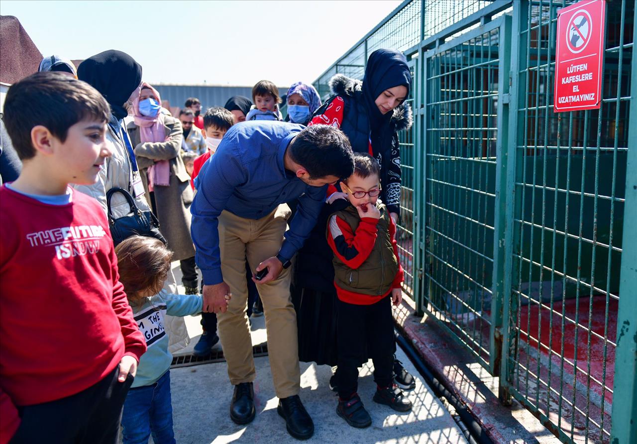 Esenyurt Belediyesi Özel Çocuklarla Hayvanları Buluşturdu