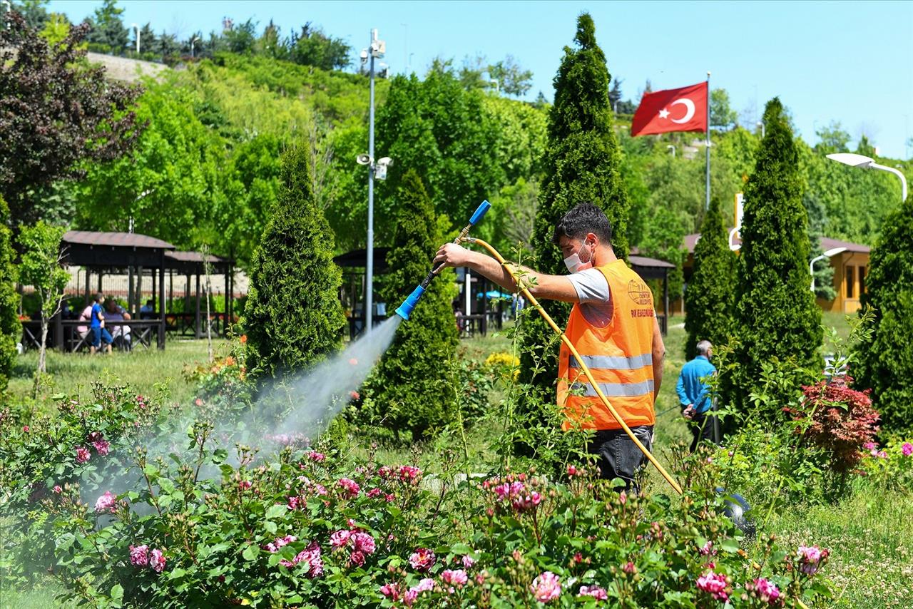 Esenyurt Belediyesi Ağaçları Zararlı Böceklere Karşı İlaçlıyor