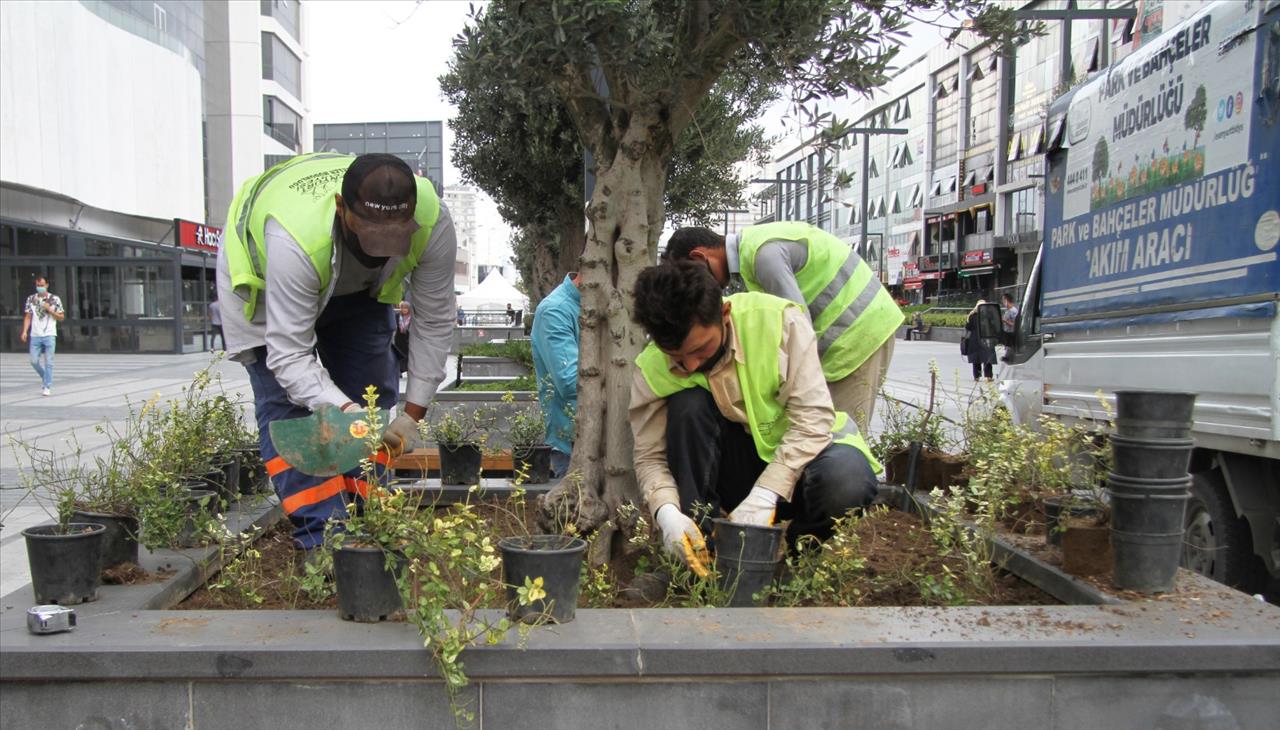 Meydan Ve Parklarda Bakım Çalışmaları Devam Ediyor