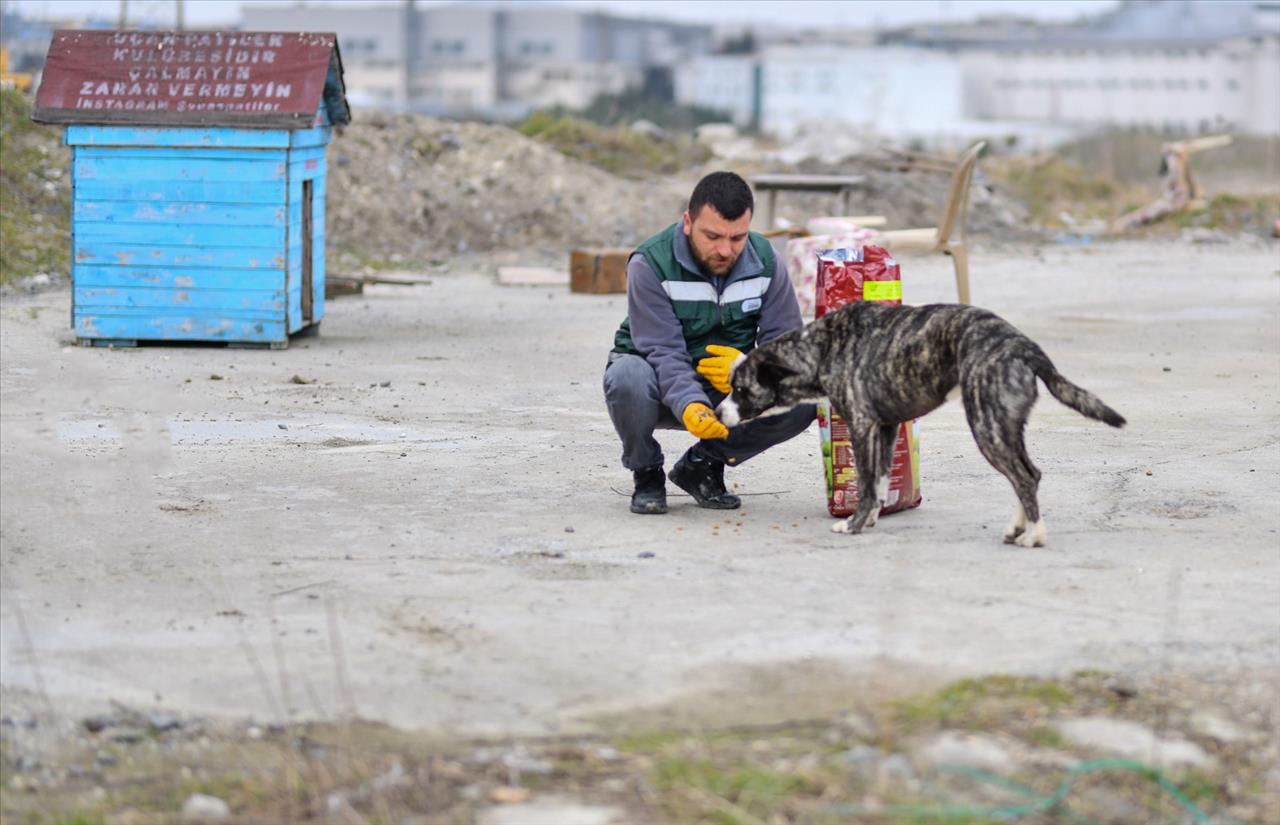 Esenyurt Can Dostlarımızı Unutmuyor