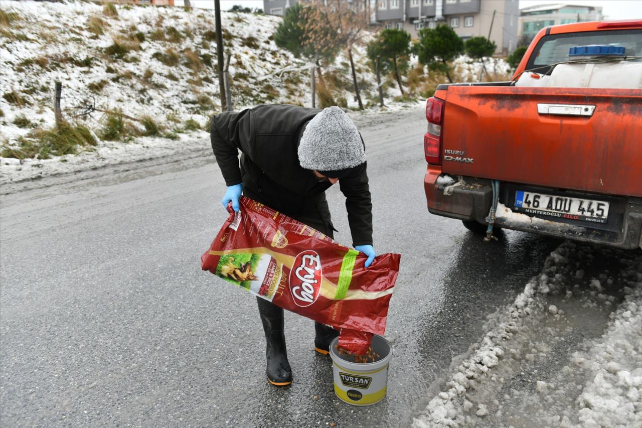 Can Dostlarımız Unutulmadı