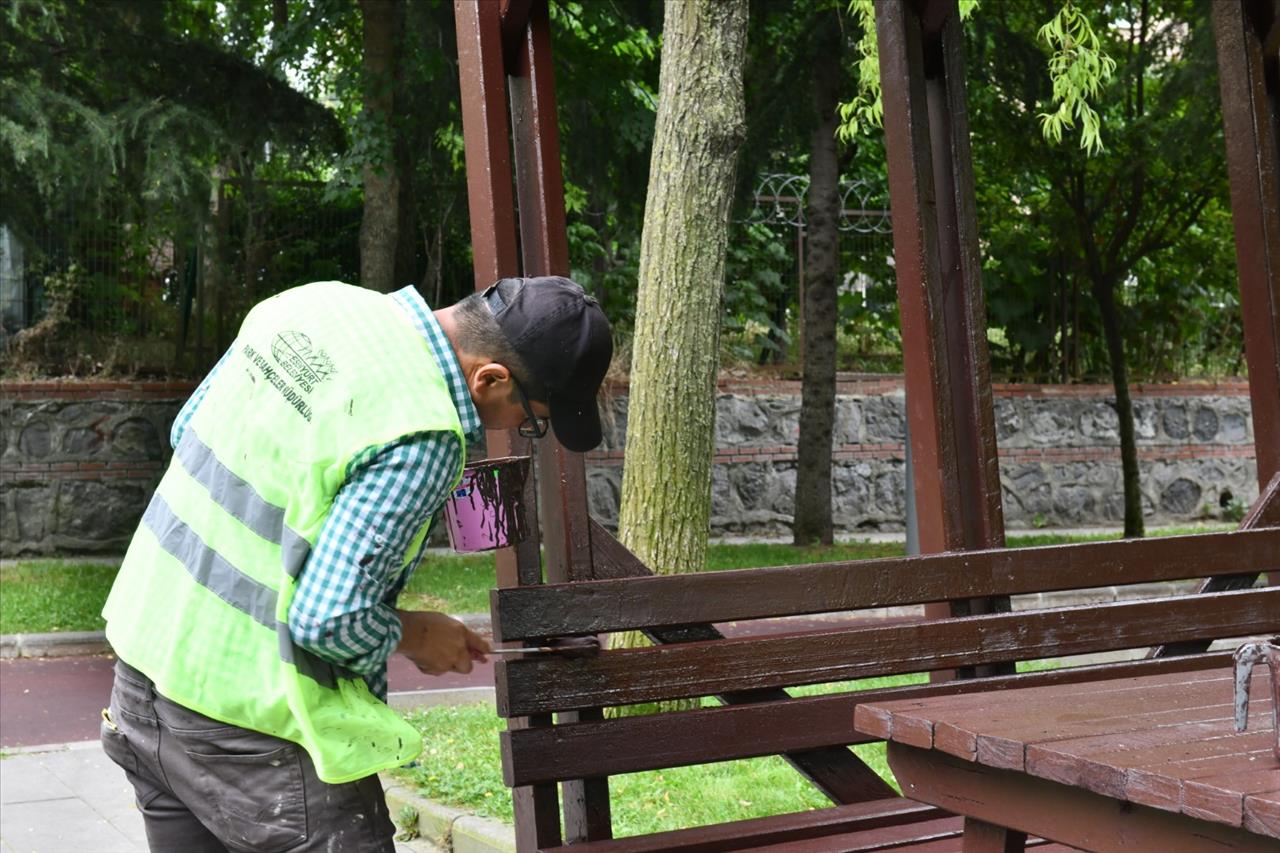 Parklar Çiçek ve Bitkilerle Süsleniyor