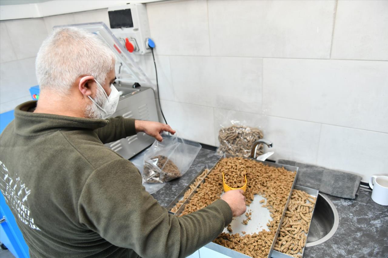 Esenyurt Belediyesi Can Dostlarımız İçin Mama Üretiyor